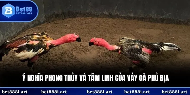 Tướng kê không chỉ mạnh mà còn có tinh thần bất khuất