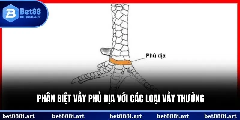 Trang bị kiến thức để nhận biết chính xác là bước quan trọng nhất